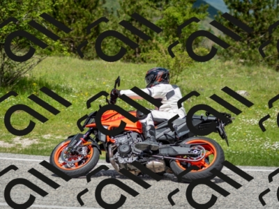 202505181200-DSC_9282_c2