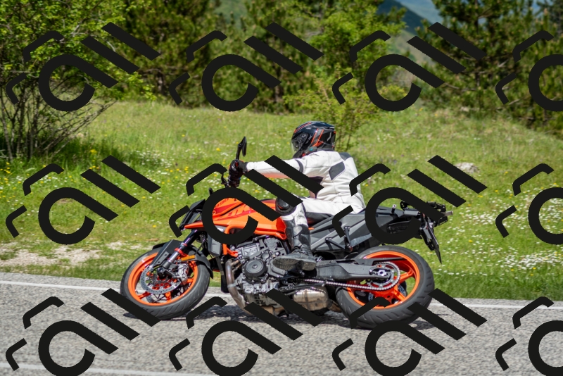 202505181200-DSC_9282_c2