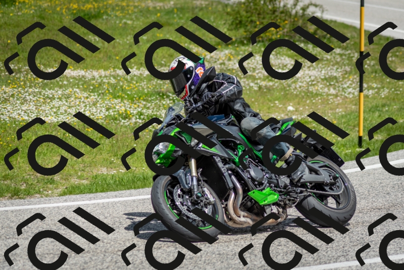 202505181201-DSC_9290_c2