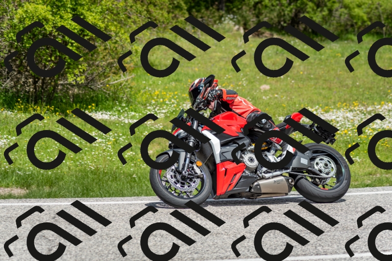 202505181202-DSC_9298_c2