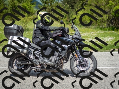 202505181202-DSC_9300_c2