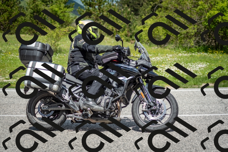 202505181202-DSC_9300_c2