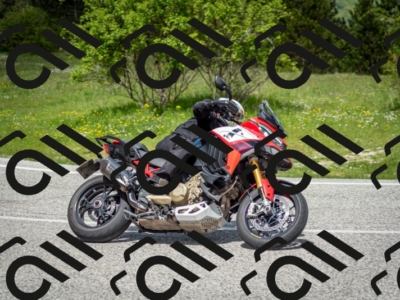 202505181202-DSC_9303_c2