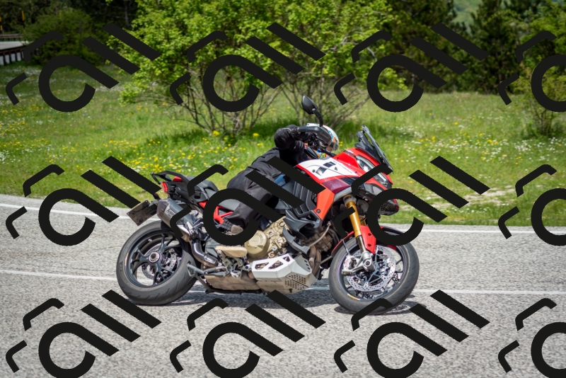 202505181202-DSC_9303_c2