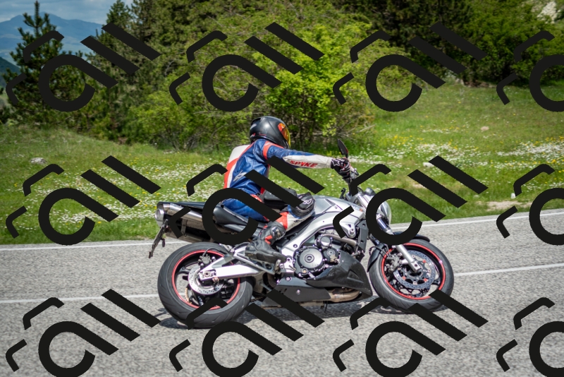 202505181202-DSC_9307_c2