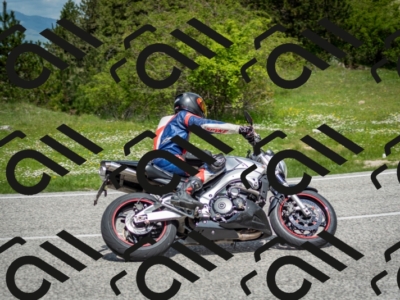 202505181202-DSC_9307_c2