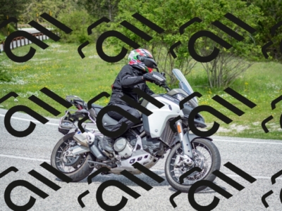 202505181202-DSC_9309_c2