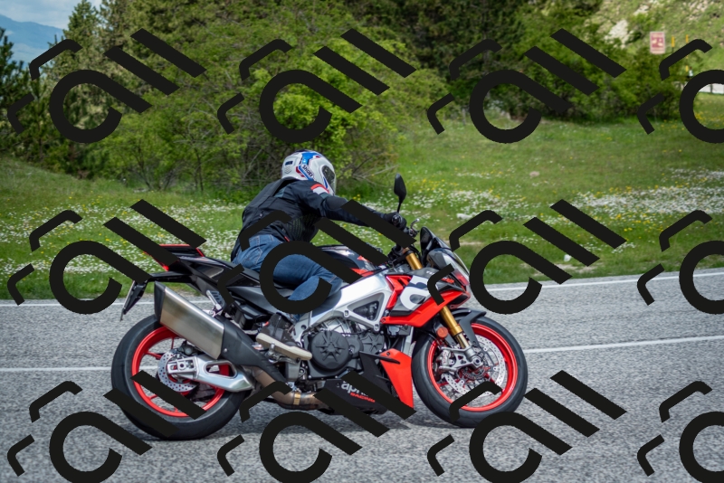 202505181202-DSC_9313_c2