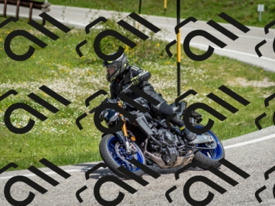 202505181203-DSC_9327_c2