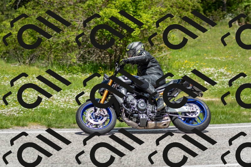 202505181203-DSC_9328_c2