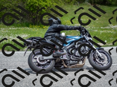 202505181203-DSC_9331_c2