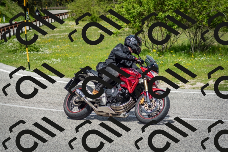 202505181204-DSC_9334_c2