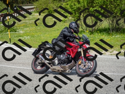 202505181204-DSC_9334_c2