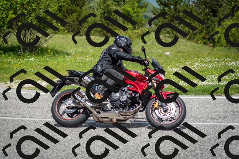 202505181204-DSC_9335_c2