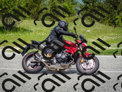 202505181204-DSC_9335_c2