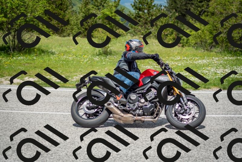 202505181204-DSC_9336_c2