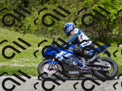 202505181204-DSC_9346_c2