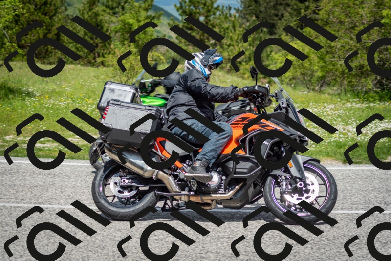 202505181205-DSC_9350_c2