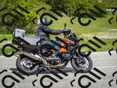 202505181205-DSC_9351_c2