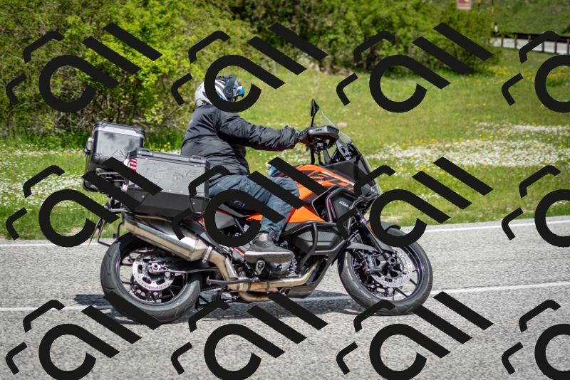 202505181205-DSC_9351_c2