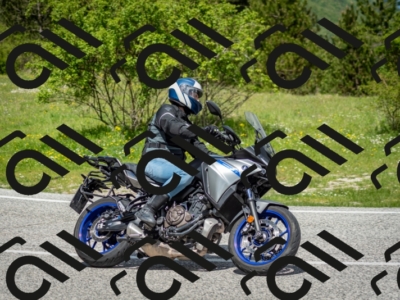 202505181205-DSC_9364_c2