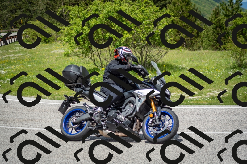 202505181205-DSC_9365_c2