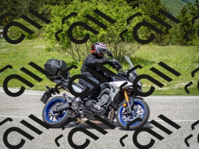 202505181205-DSC_9365_c2