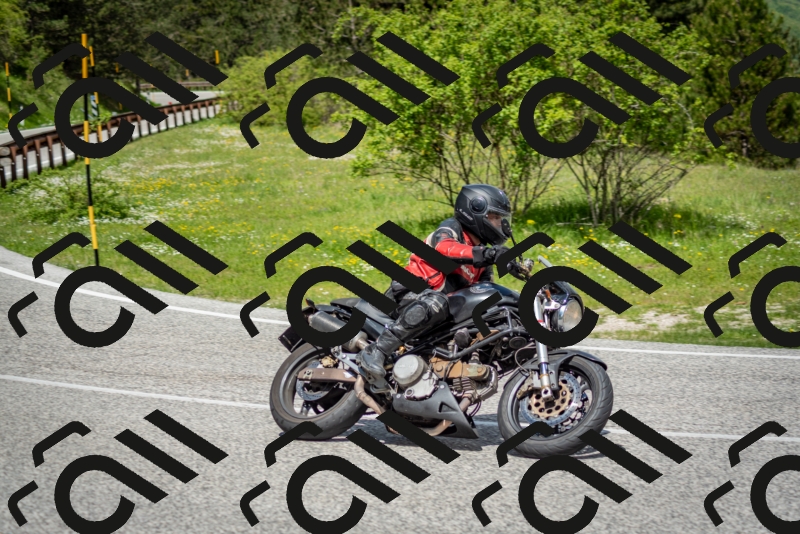 202505181205-DSC_9367_c2