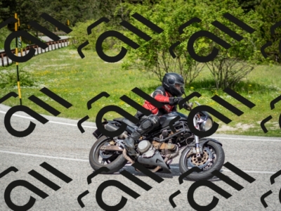 202505181205-DSC_9367_c2