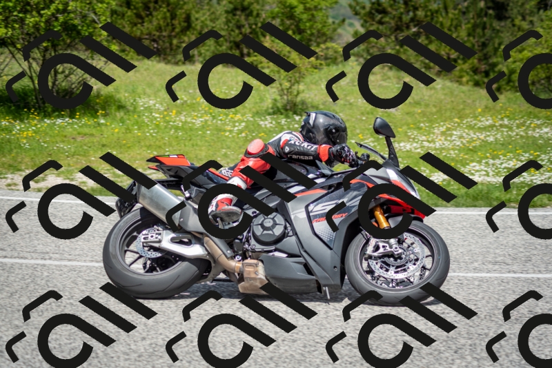 202505181205-DSC_9370_c2