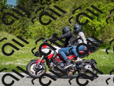 202505181206-DSC_9375_c2