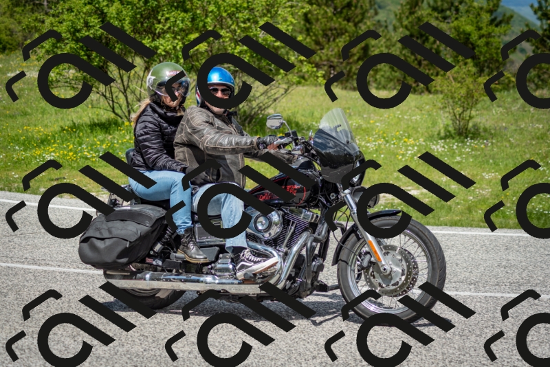 202505181206-DSC_9376_c2