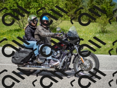 202505181206-DSC_9376_c2