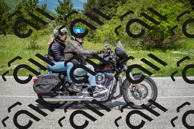 202505181206-DSC_9377_c2