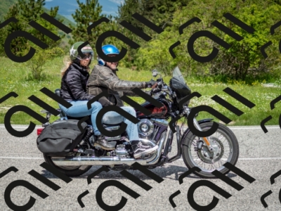 202505181206-DSC_9377_c2