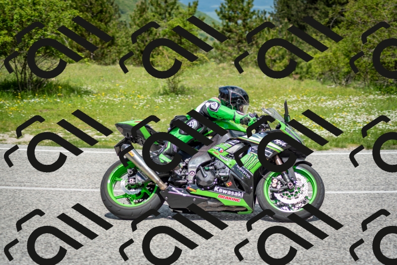 202505181206-DSC_9383_c2