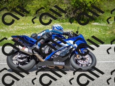 202505181206-DSC_9386_c2