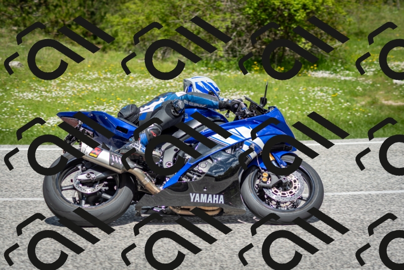 202505181206-DSC_9386_c2