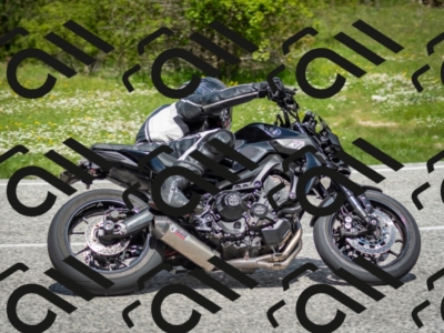 202505181206-DSC_9391_c2