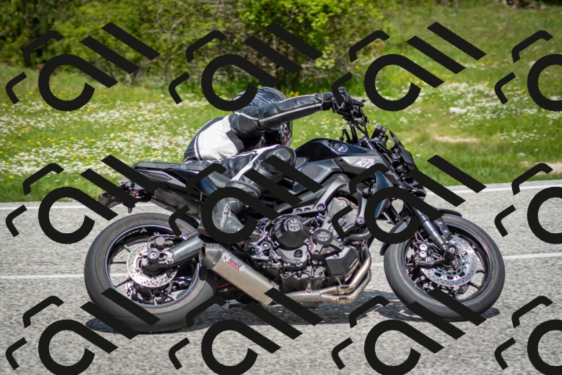 202505181206-DSC_9391_c2