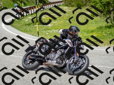 202505181206-DSC_9394_c2