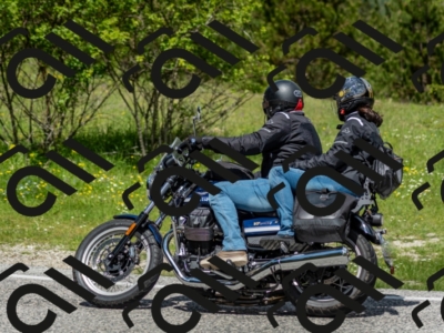 202505181206-DSC_9396_c2