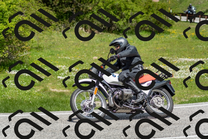 202505181207-DSC_9401_c2