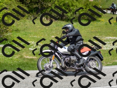 202505181207-DSC_9401_c2