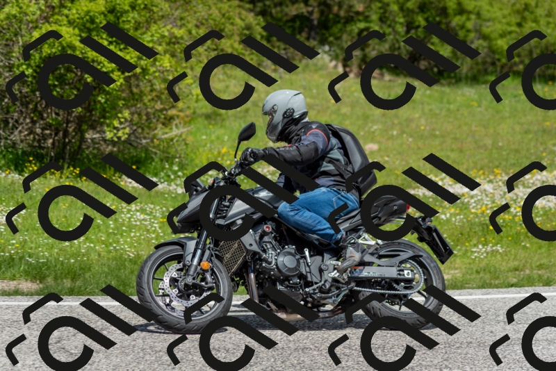 202505181207-DSC_9402_c2