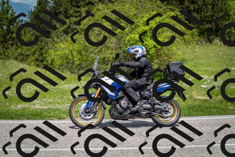 202505181207-DSC_9409_c2