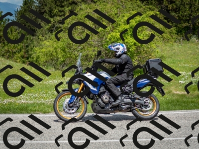 202505181207-DSC_9409_c2