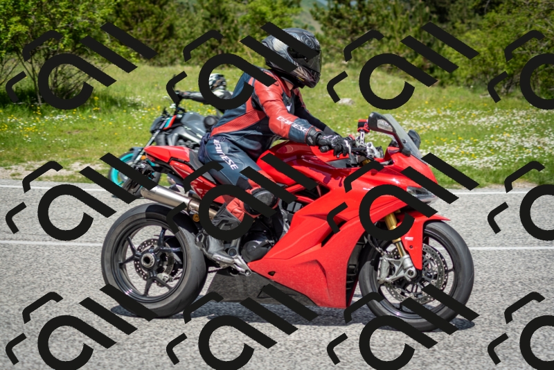 202505181207-DSC_9421_c2