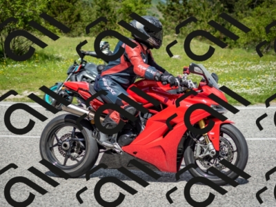 202505181207-DSC_9421_c2