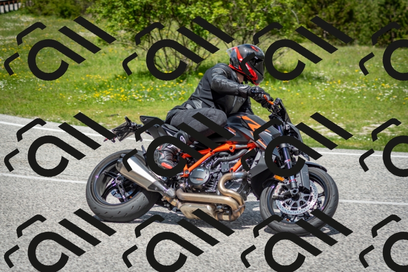 202505181207-DSC_9424_c2